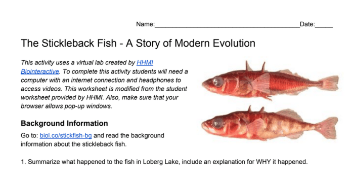 Fish lake two different species super same eawag stickleback earth splitting evolving fast into evolution marques david example networking internet