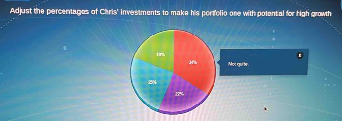 Adjust the percentages of chris' investments answer