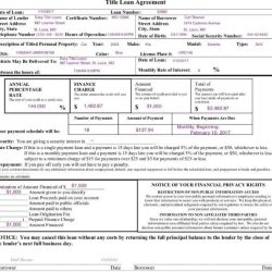 Ngpf impact of credit score on loans answer key